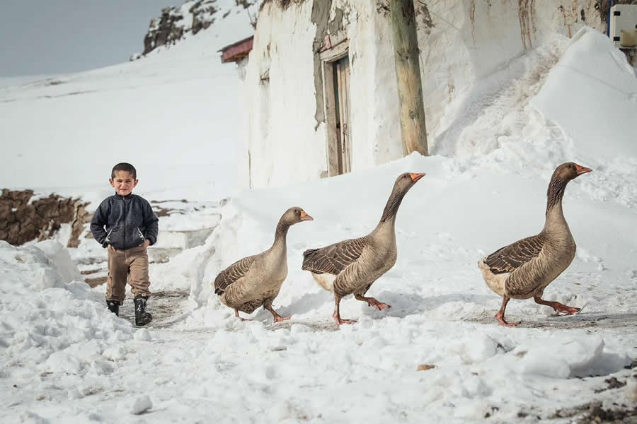 Turkish Village Life by Aygul Ozturk