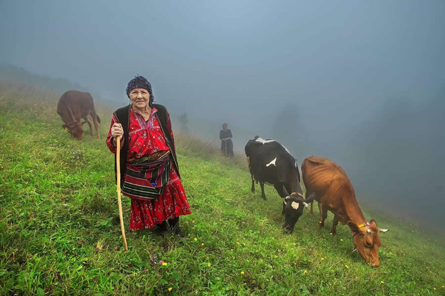 Turkish Village Life by Aygul Ozturk