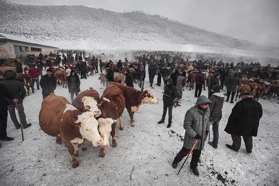 Turkish Village Life by Aygul Ozturk