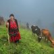 Turkish Village Life by Aygul Ozturk