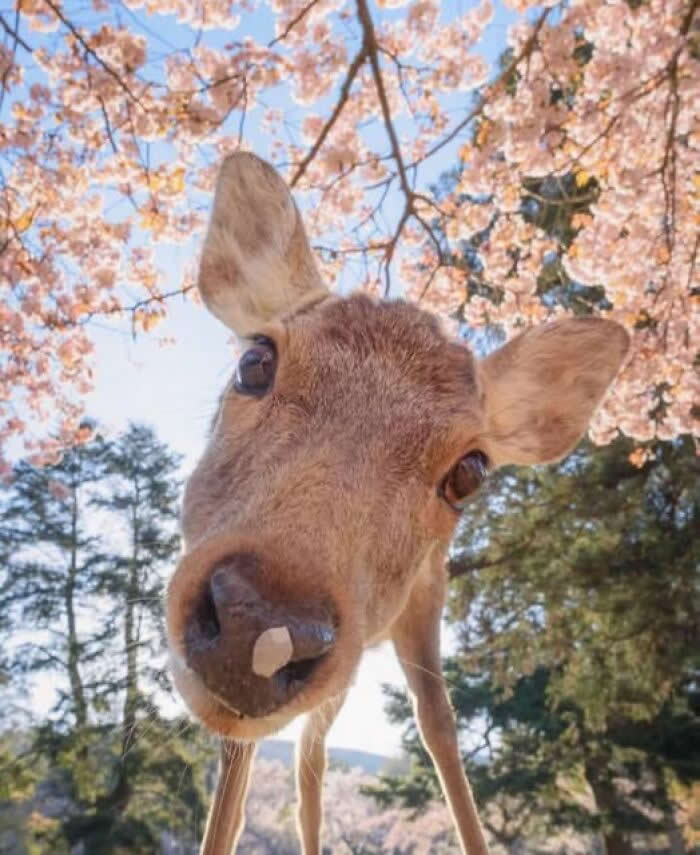 Nature Revealed Its Flawless Beauty
