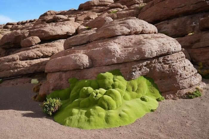 Nature Revealed Its Flawless Beauty