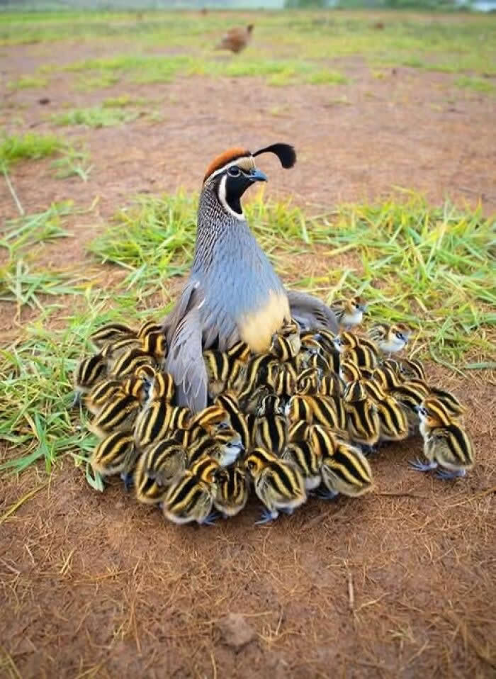 Nature Revealed Its Flawless Beauty