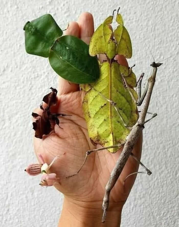 Nature Revealed Its Flawless Beauty