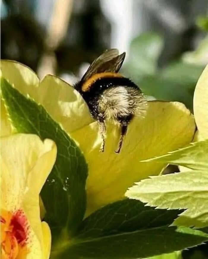 Nature Revealed Its Flawless Beauty