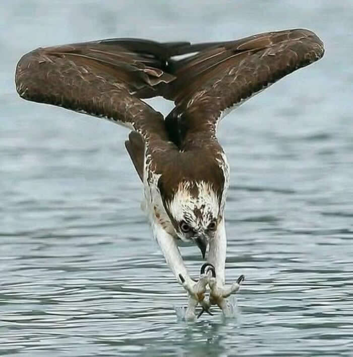 Nature Revealed Its Flawless Beauty