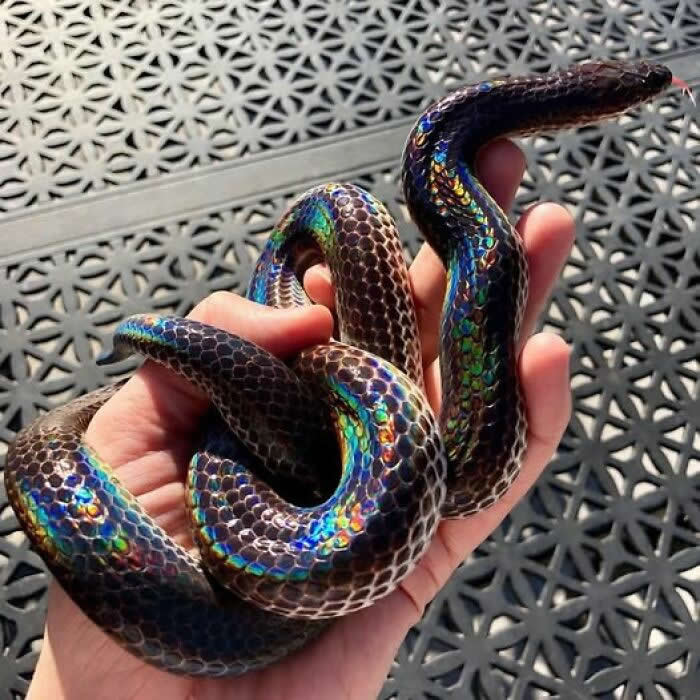 Nature Revealed Its Flawless Beauty