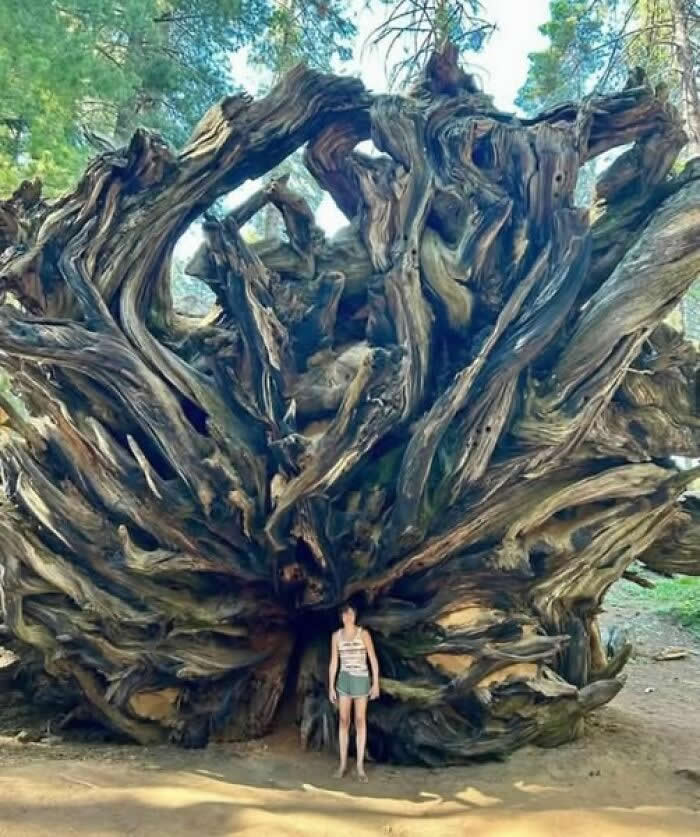 Nature Revealed Its Flawless Beauty