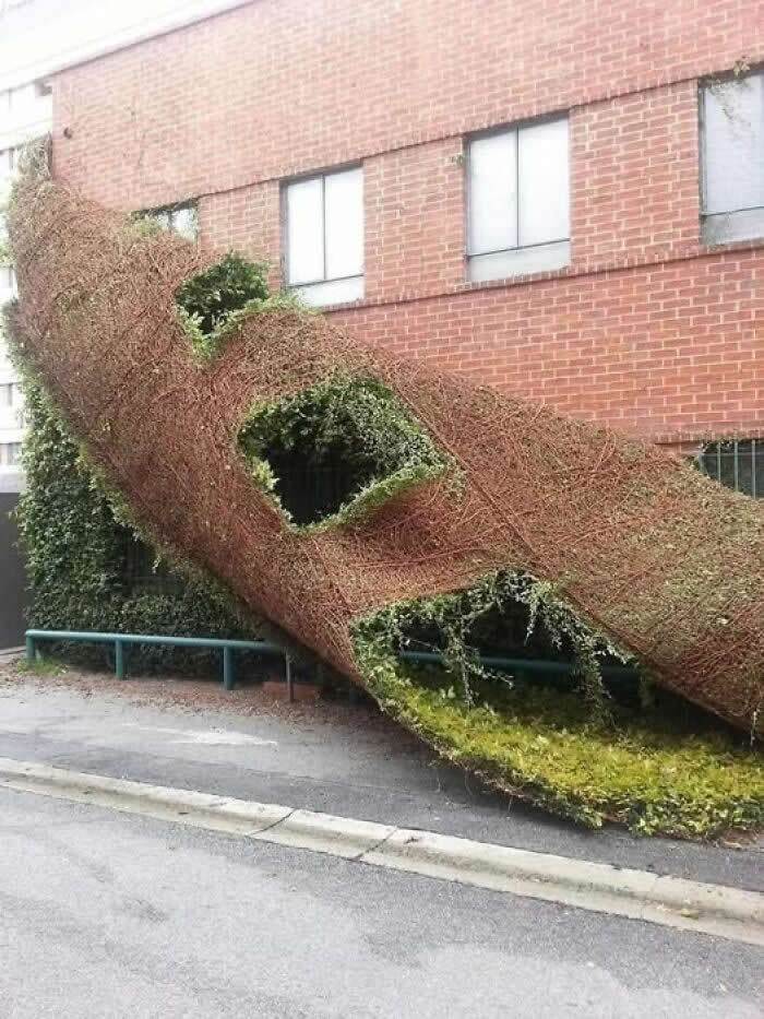 Nature Revealed Its Flawless Beauty