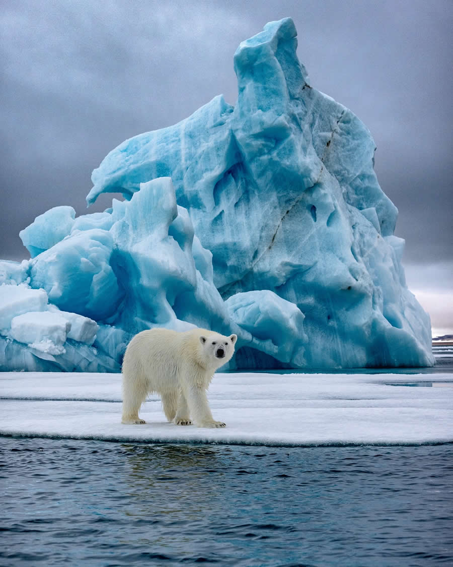 Nature and Wildlife Photography by Piet van den Bemd