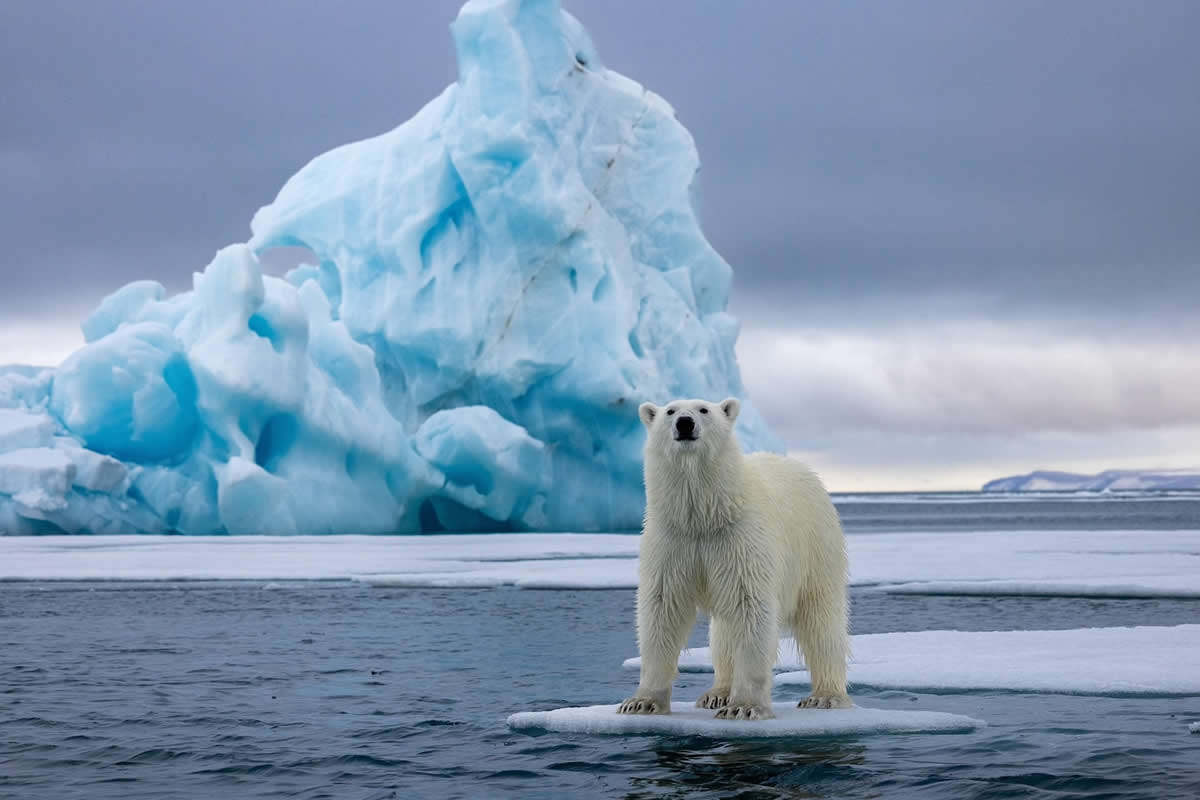 Nature and Wildlife Photography by Piet van den Bemd