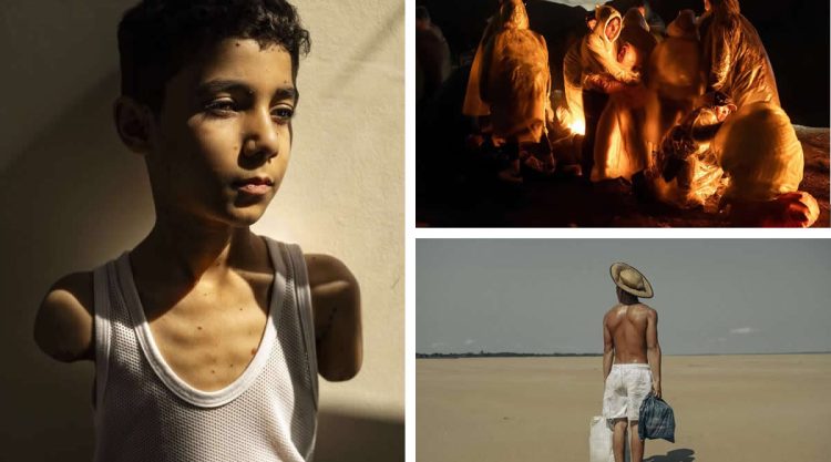 World Press Photo of the Year Winners
