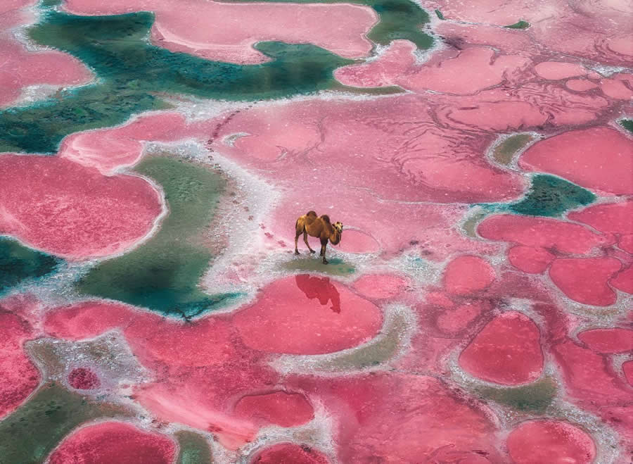 35 Awards Photography Contest Aerial Winners