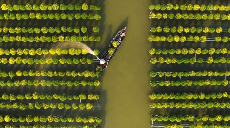 35 Awards Photography Contest Aerial Winners