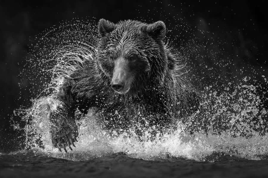 Black and White Photos from the 35 Photography Awards