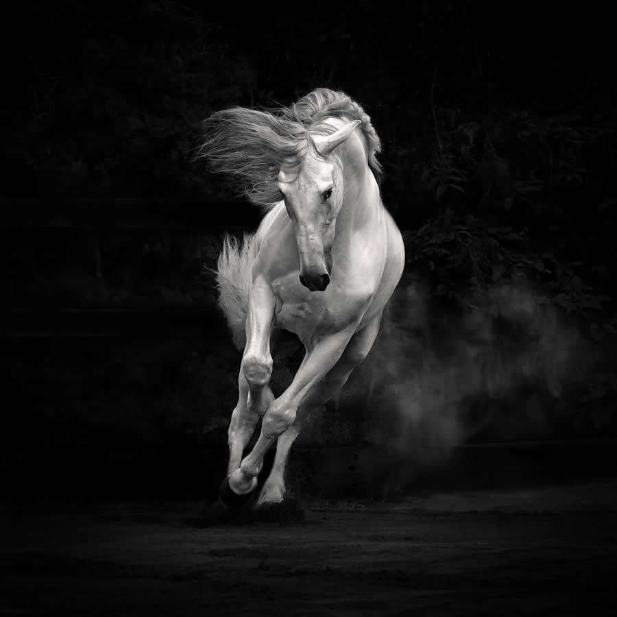 Black and White Photos from the 35 Photography Awards