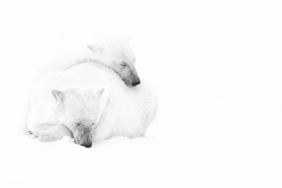 Black and White Photos from the 35 Photography Awards