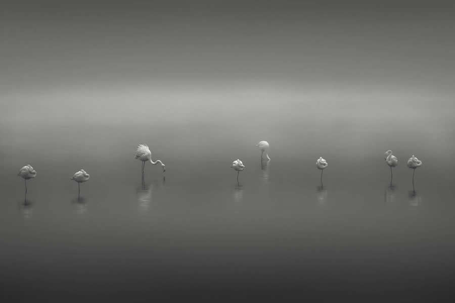 Black and White Photos from the 35 Photography Awards
