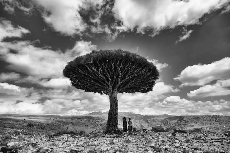 Black and White Photos from the 35 Photography Awards