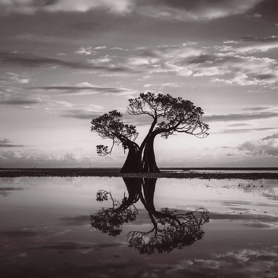 Black and White Photos from the 35 Photography Awards