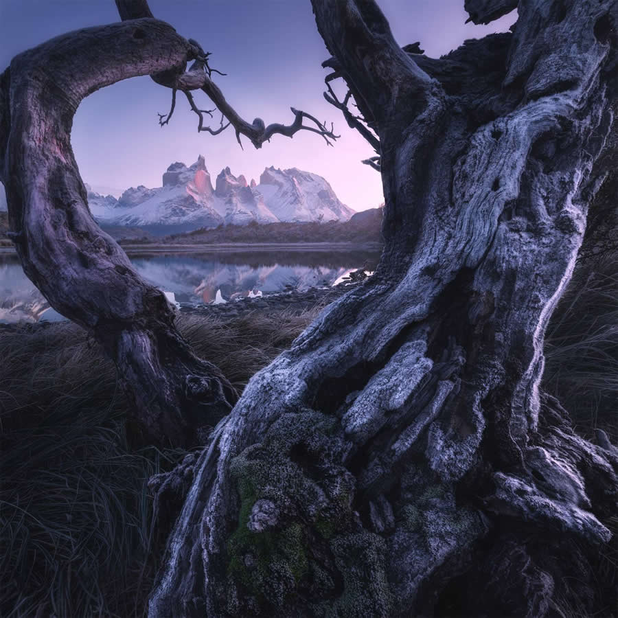 35 Photography Awards Landscape Winners