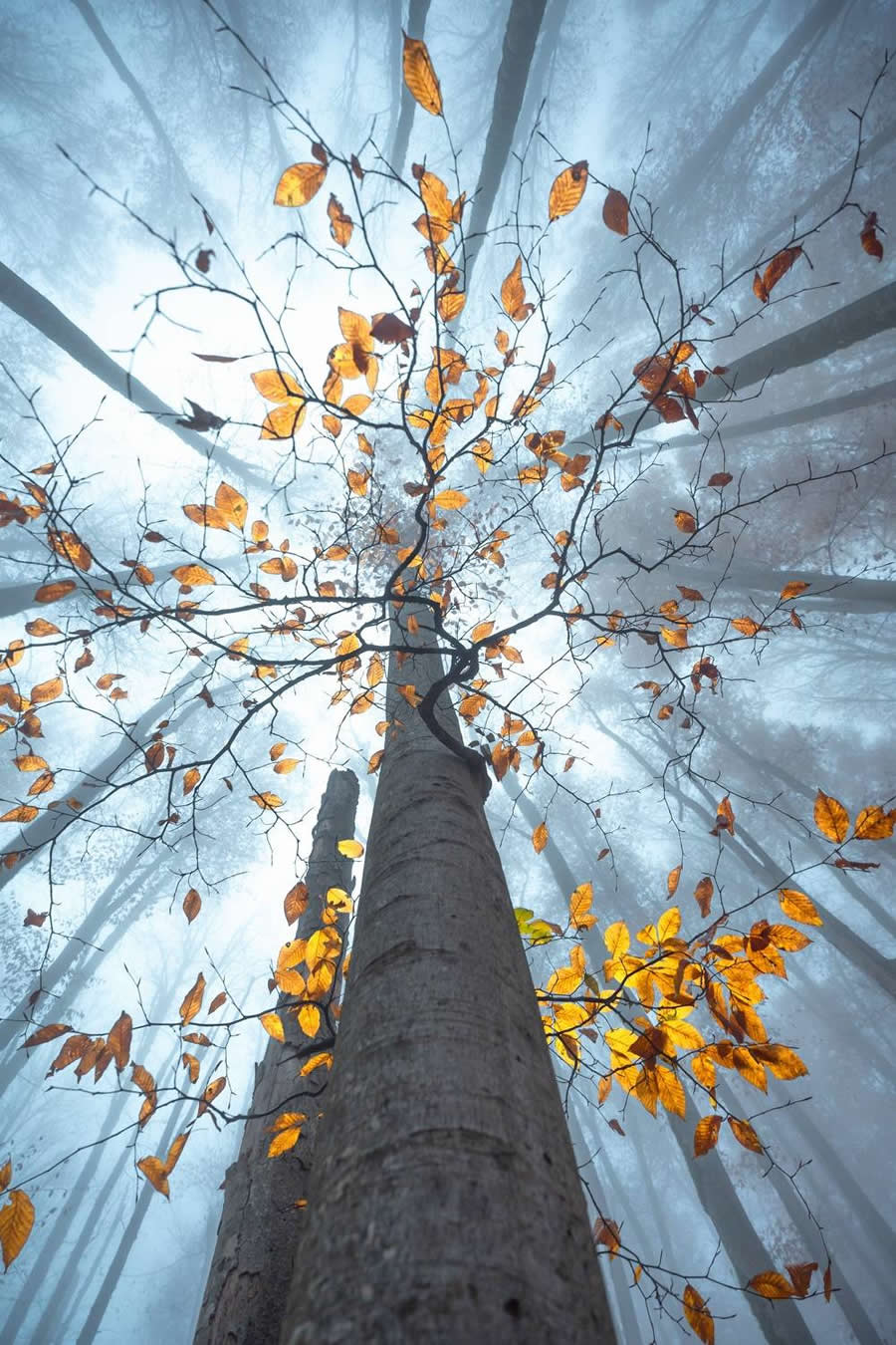 35 Photography Awards Landscape Winners