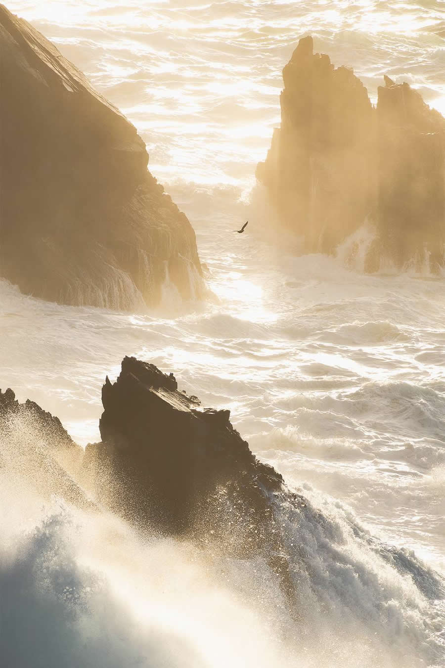 35 Photography Awards Landscape Winners