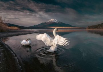 35 Photography Awards Landscape Winners