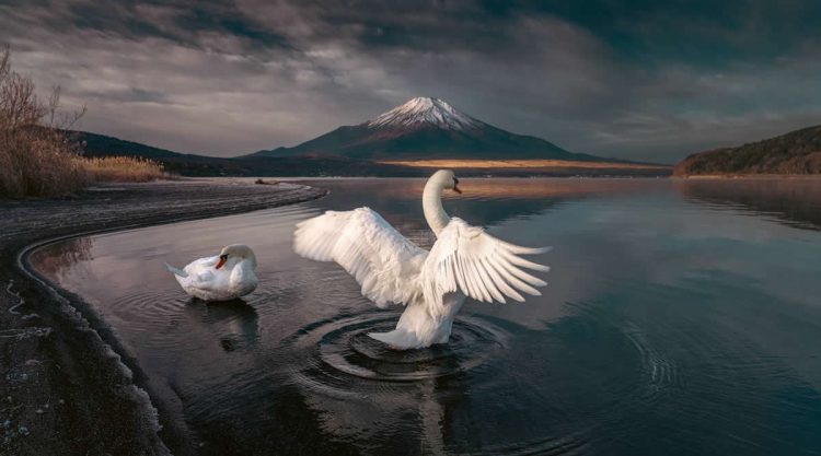 35 Photography Awards Landscape Winners