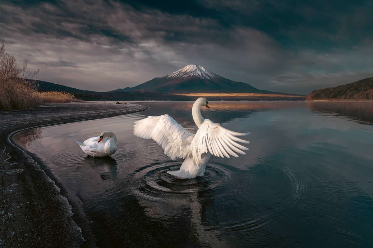 35 Photography Awards Landscape Winners