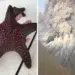 25 Unusual Photos That Uncover the Strange and Surprising Side of Our World 73 A red-spotted starfish held in a hand alongside an aerial view of a volcanic eruption