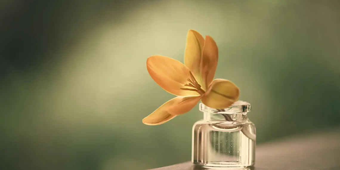 Yellow flower in tiny glass bottle, enchanting still life photography