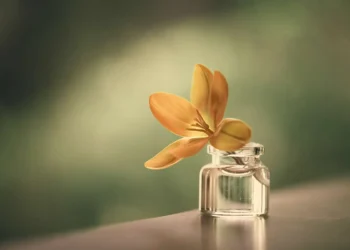 Yellow flower in tiny glass bottle, enchanting still life photography