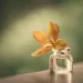 Yellow flower in tiny glass bottle, enchanting still life photography