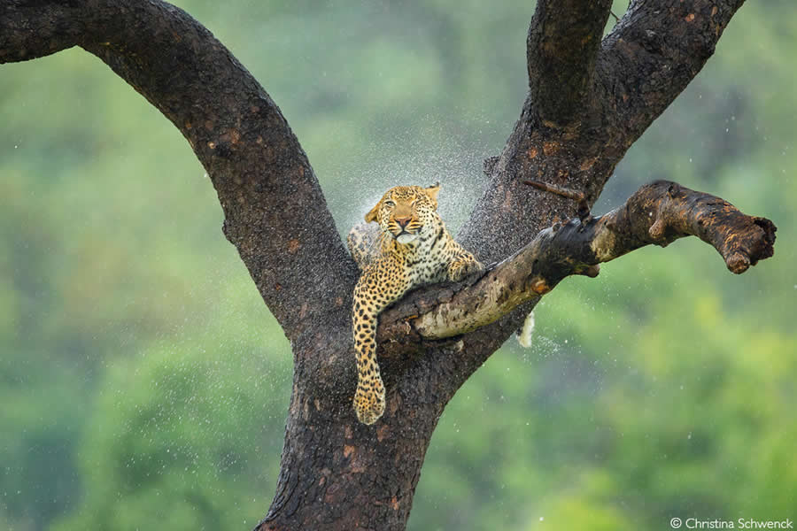2025 Africa Geographic Photographer of the Year Winners