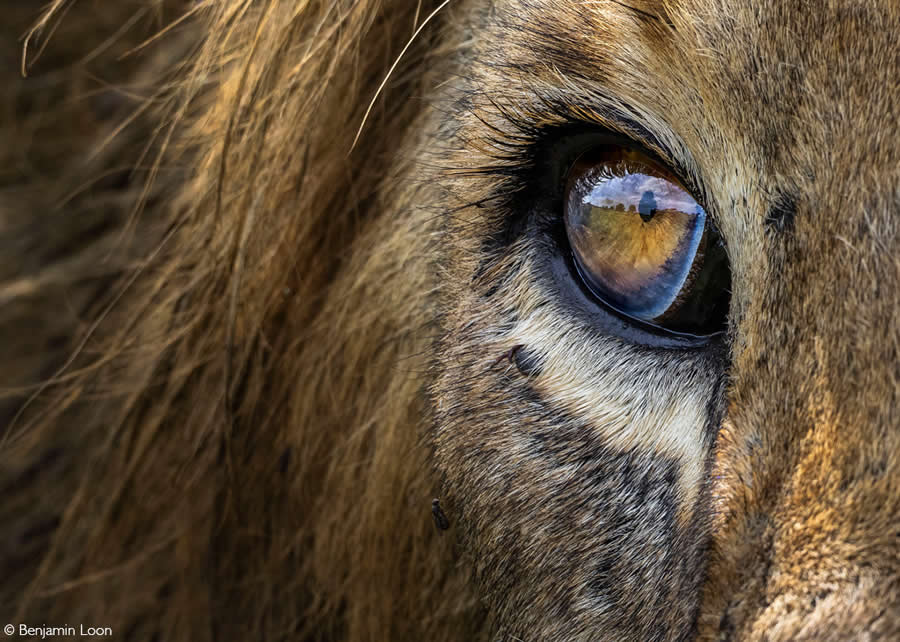 2025 Africa Geographic Photographer of the Year Winners