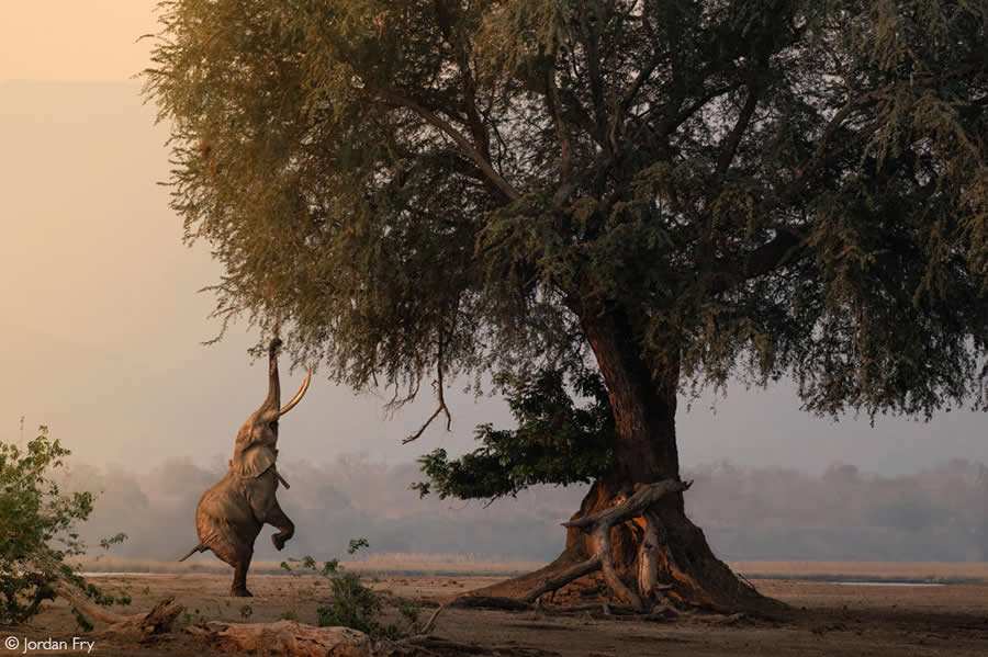 2025 Africa Geographic Photographer of the Year Winners