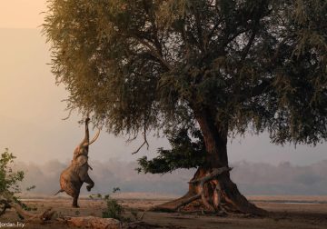 2025 Africa Geographic Photographer of the Year Winners