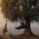 2025 Africa Geographic Photographer of the Year Winners