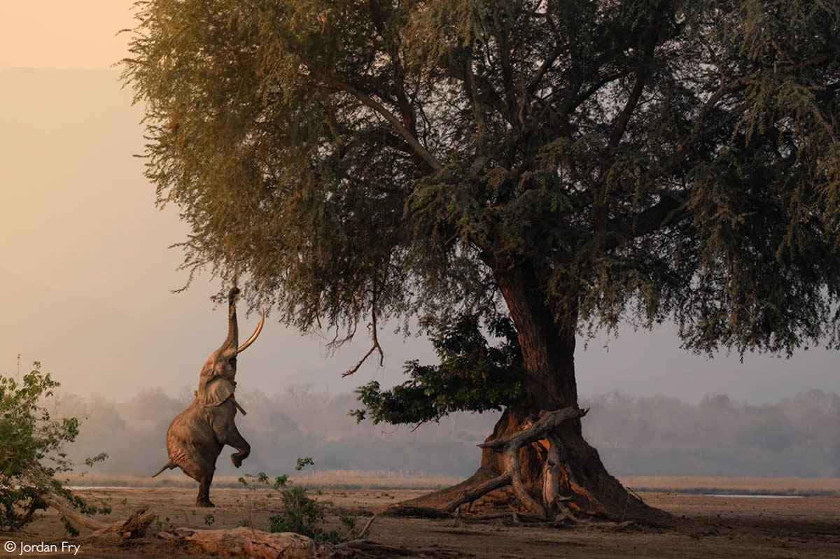 2025 Africa Geographic Photographer of the Year Winners