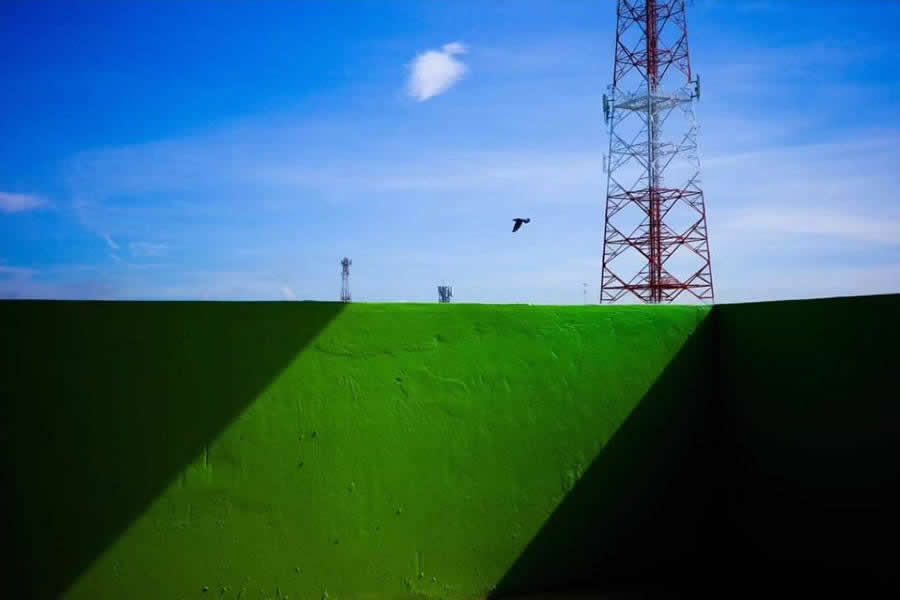 Poetic Street Photos of Animals Beauty of Urban Life by Jad Jadsada