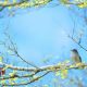 Bird Photos That Showcase the Beauty of the Natural World