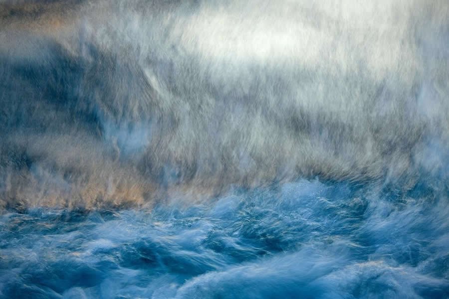 BigPicture Natural World Photography Competition 2025 Winners