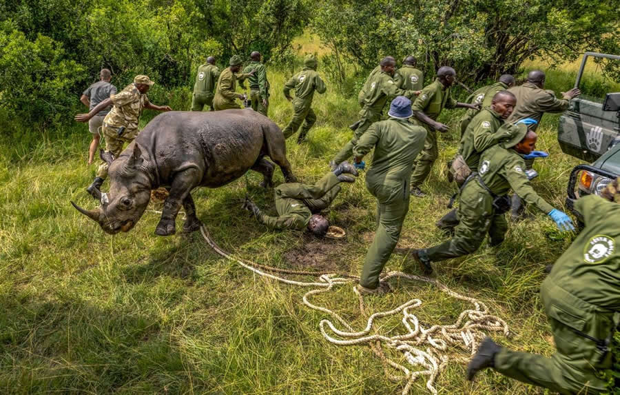 BigPicture Natural World Photography Competition 2025 Winners