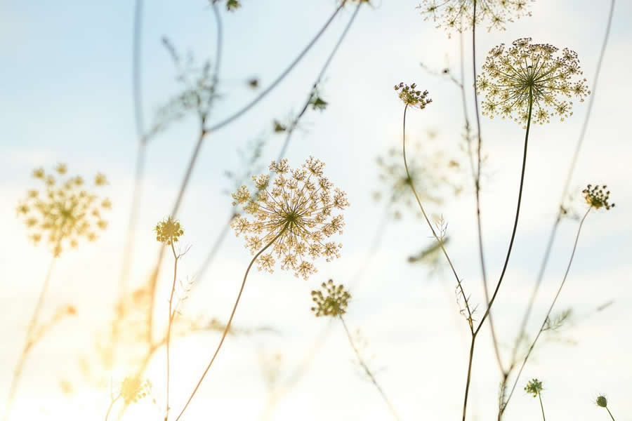 BigPicture Natural World Photography Competition 2025 Winners