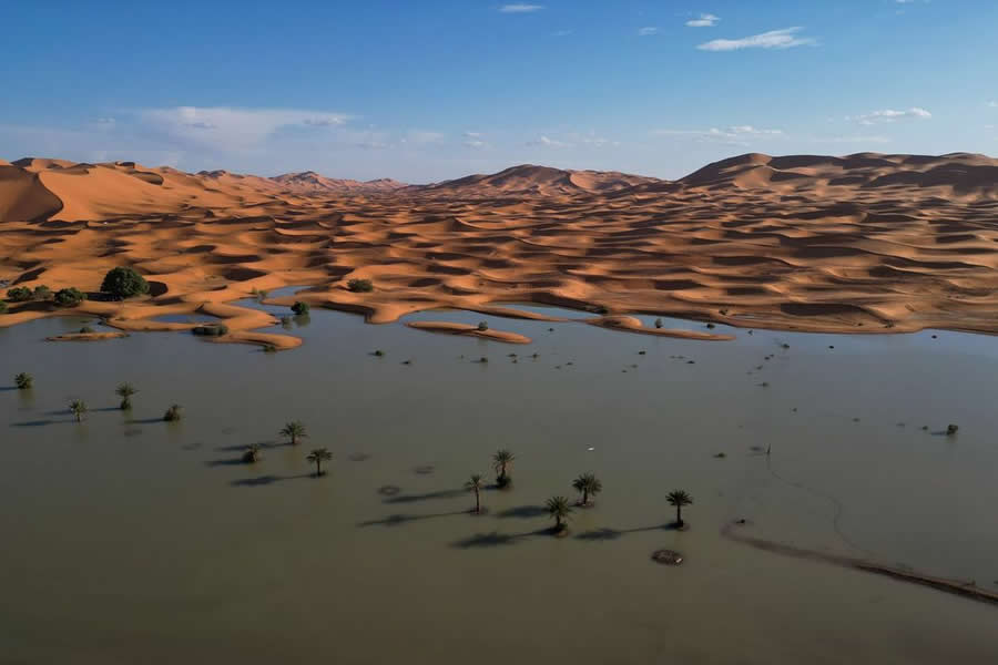 BigPicture Natural World Photography Competition 2025 Winners
