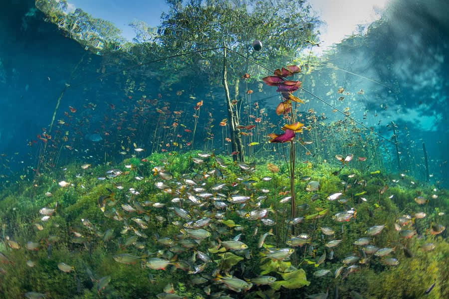 BigPicture Natural World Photography Competition 2025 Winners