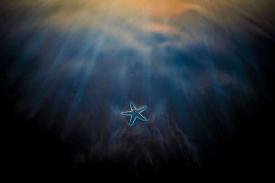 BigPicture Natural World Photography Competition 2025 Winners