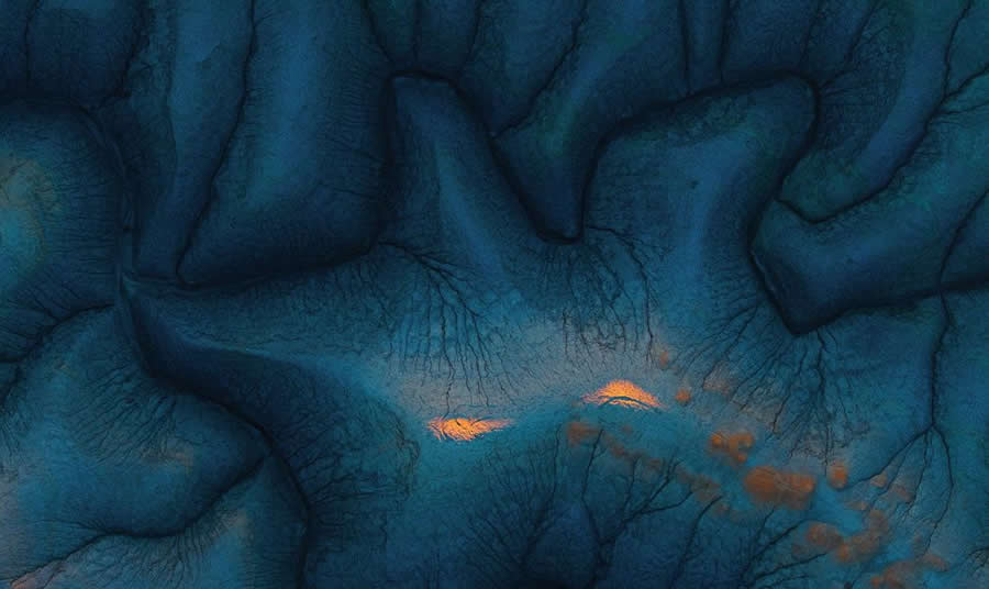 BigPicture Natural World Photography Competition 2025 Winners