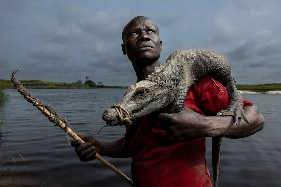 BigPicture Natural World Photography Competition 2025 Winners
